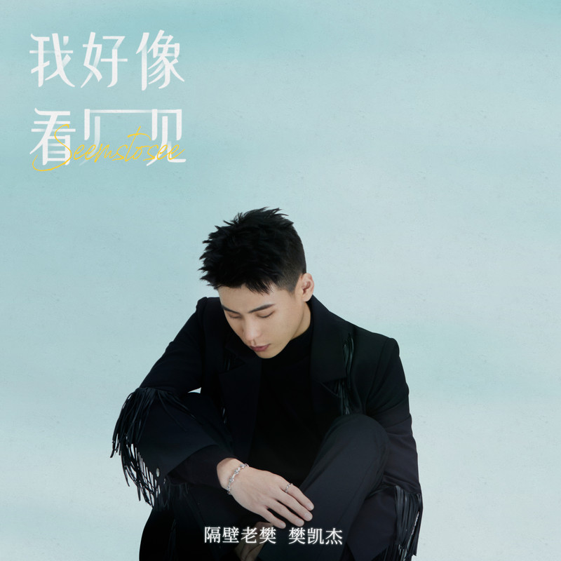 隔壁老樊 樊凯杰-《我好像看见》