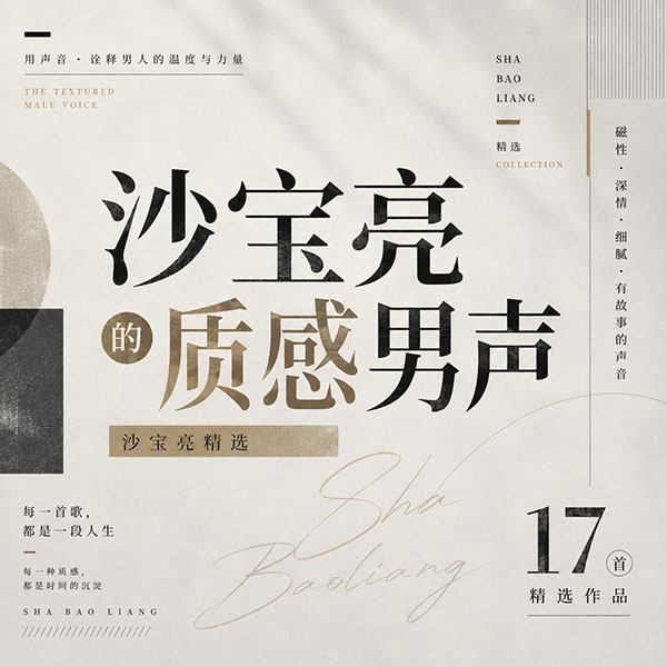 沙宝亮精选-《沙宝亮的质感男声》