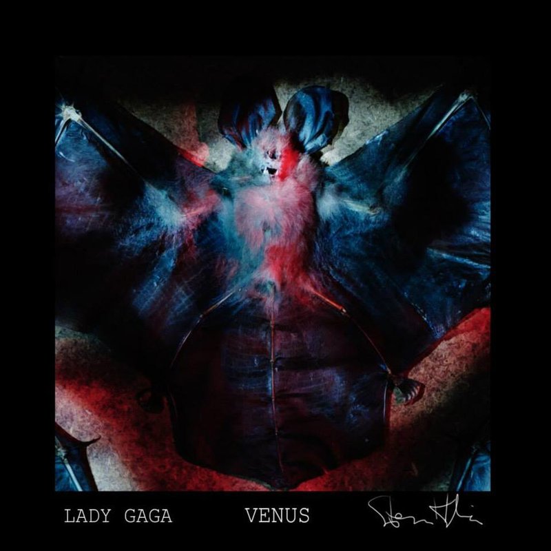 Lady GaGa-《Venus》