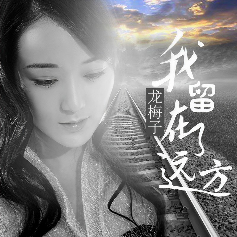 龙梅子-《我留在了远方》