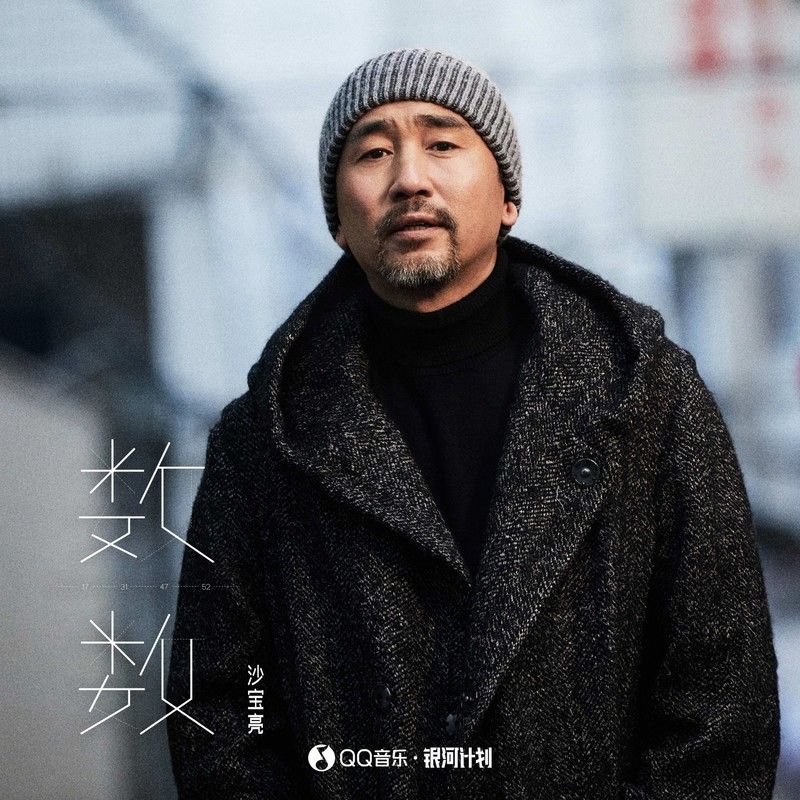 沙宝亮-《数数》