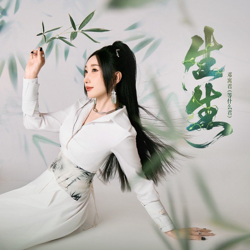 邓寓君(等什么君)-《生生》