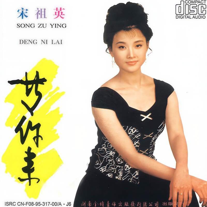 宋祖英-《等你来》