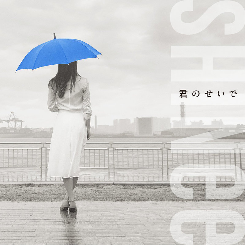 SHINee ·《君のせいで (因为你)》