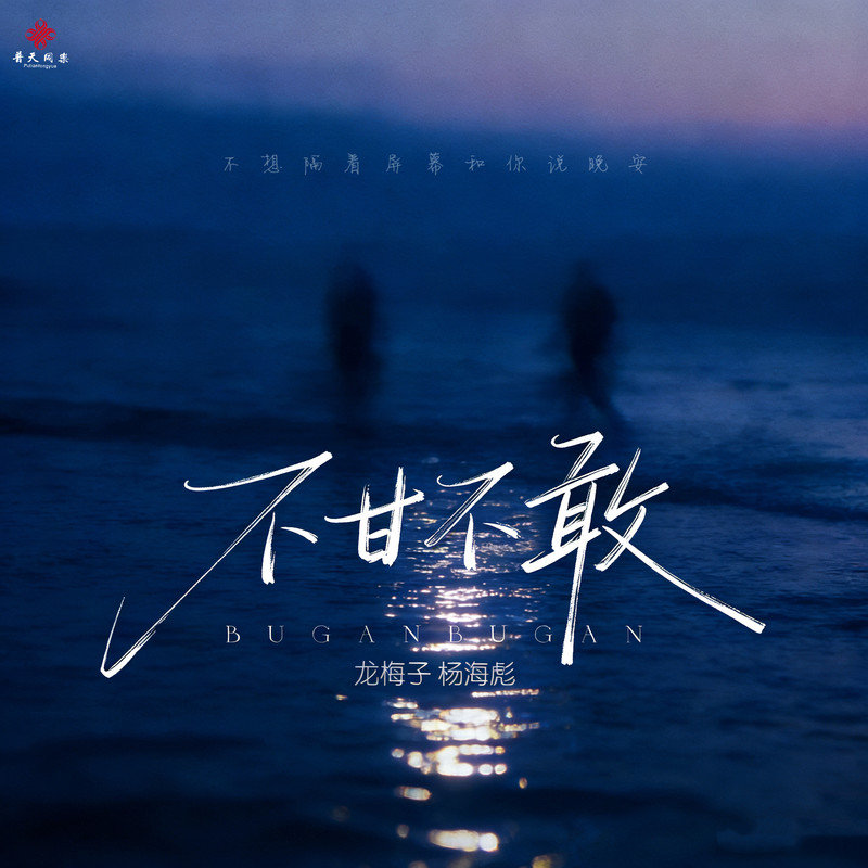 龙梅子-《不甘不敢》