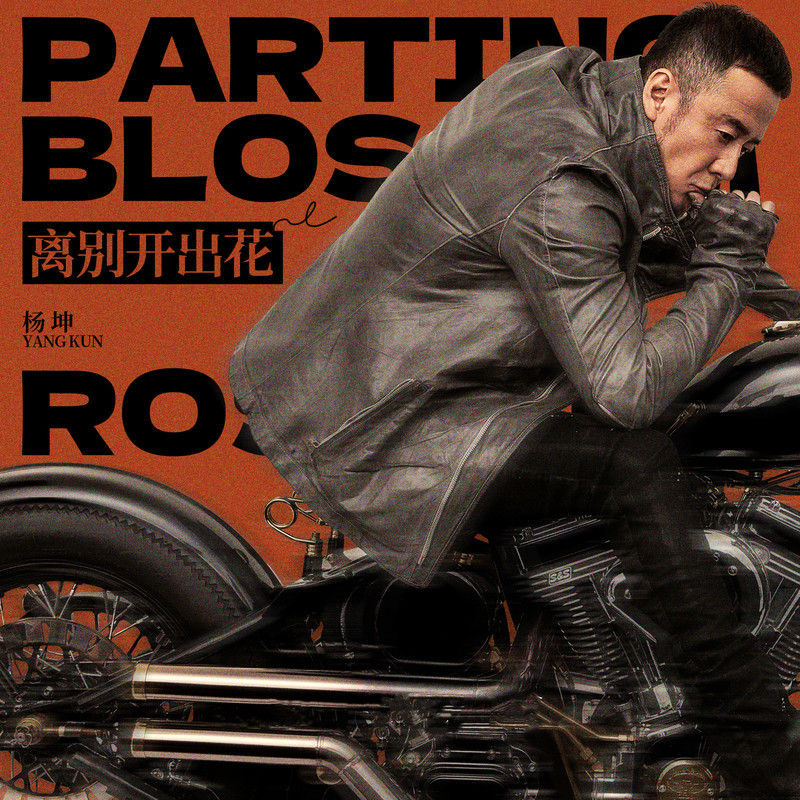 杨坤-《离别开出花》