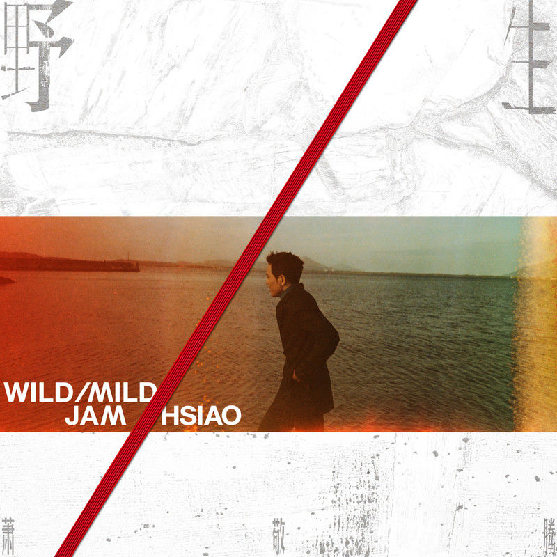 萧敬腾-《野生》