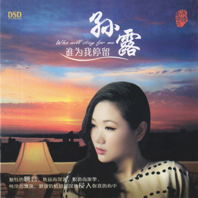 孙露-《谁为我停留》