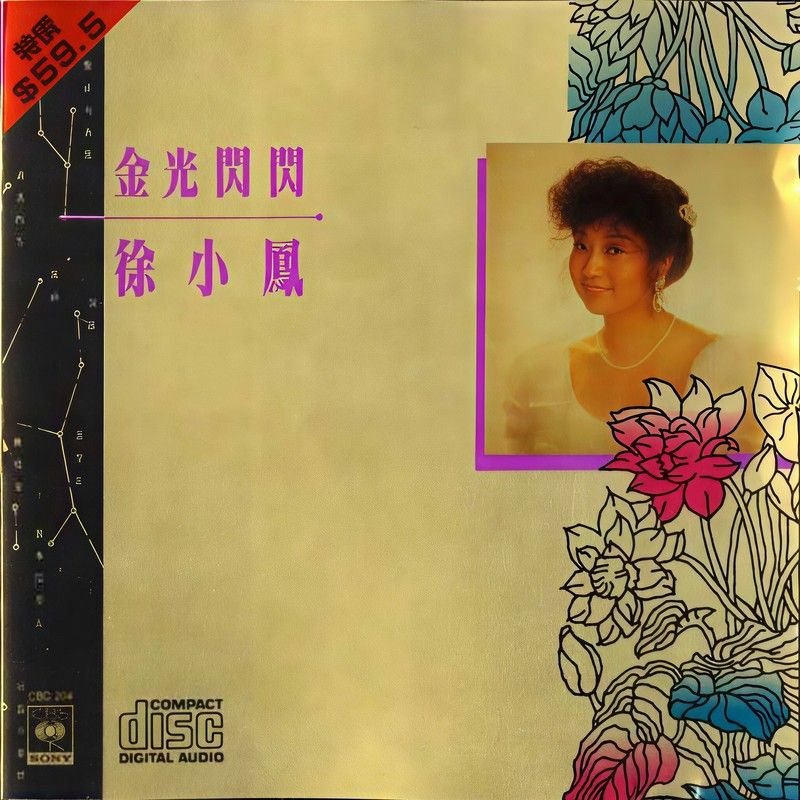 徐小凤-《金光闪闪》