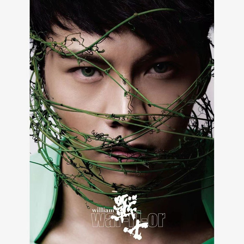 陈伟霆-《战士》