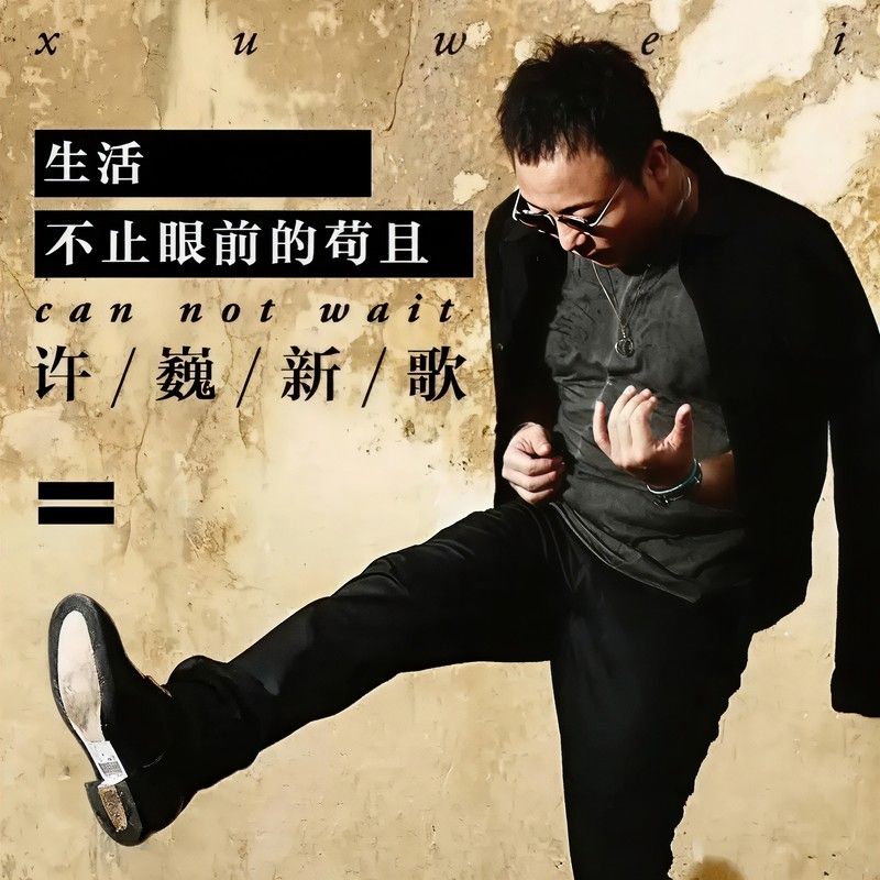 许巍-《生活不止眼前的苟且》