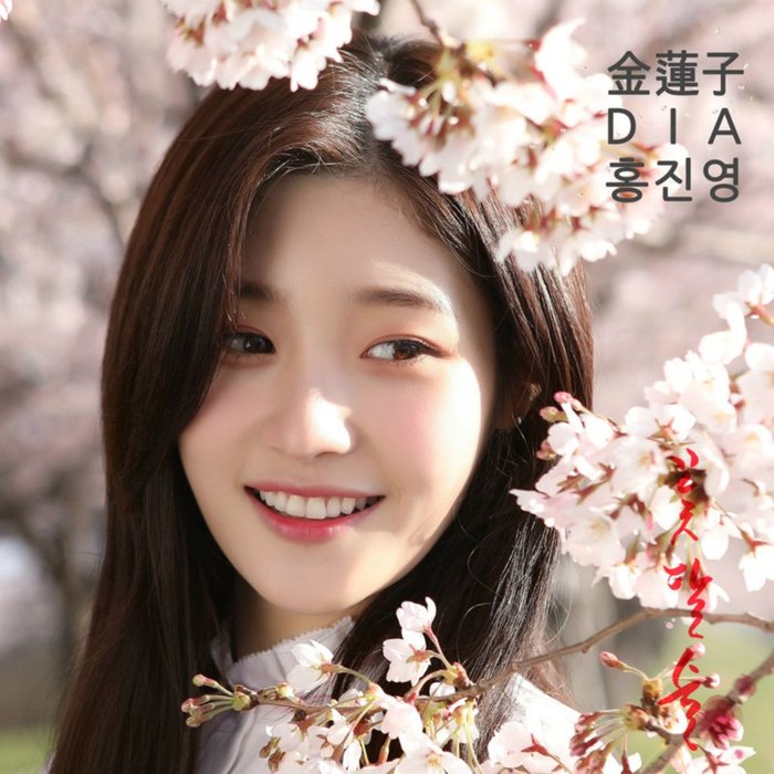 洪真英-《꽃, 달, 술 (花，月，酒_you are my flower)》