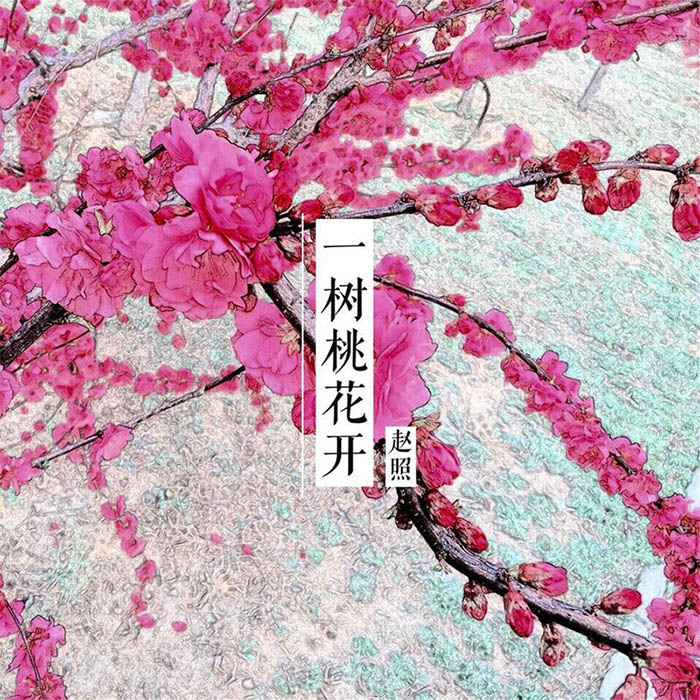 赵照-《一树桃花开》