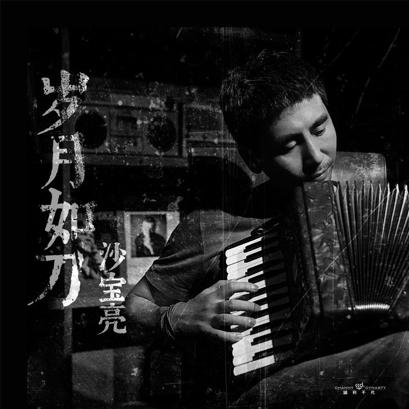 沙宝亮-《岁月如刀》