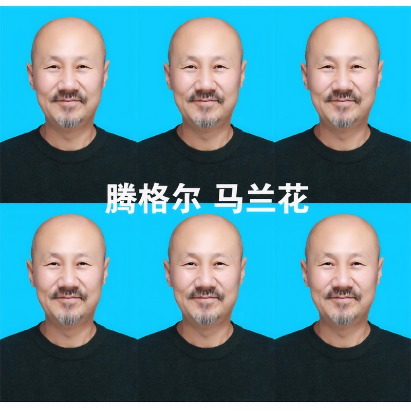 腾格尔-《马兰花》