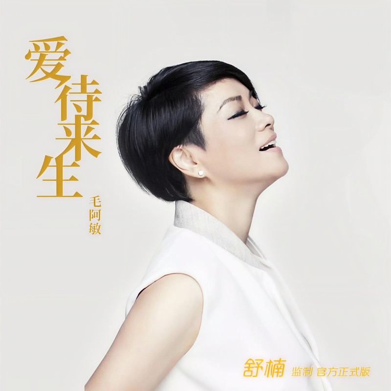 毛阿敏-《爱待来生 (舒楠监制 官方正式版)》