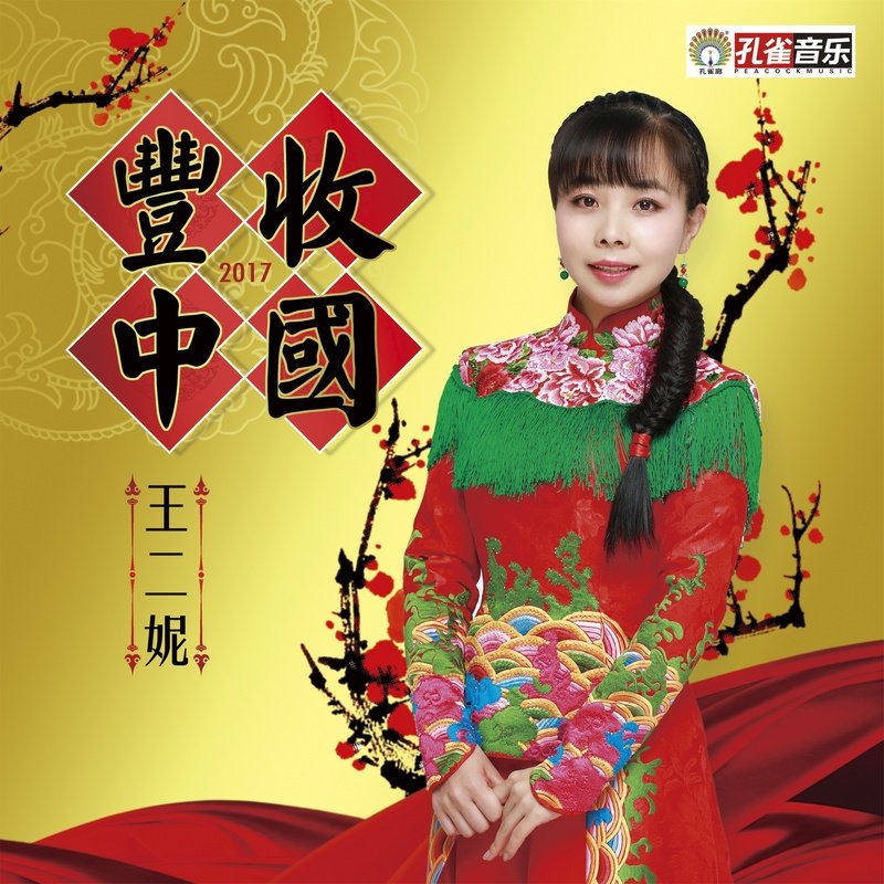 王二妮-《丰收中国》