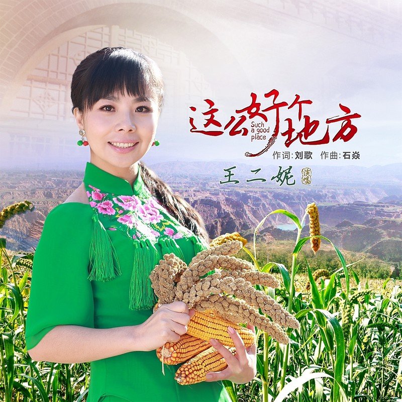 王二妮-《这么好个地方》