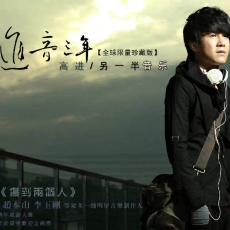 高进-《进音三年》