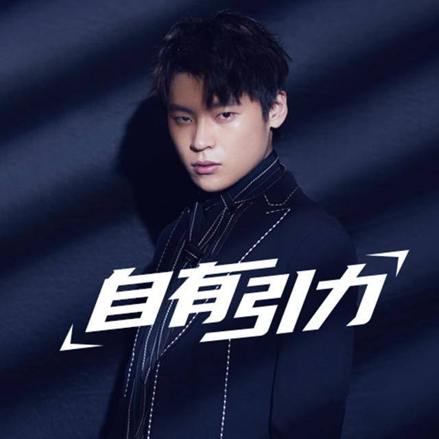 隔壁老樊 樊凯杰-《自有引力》
