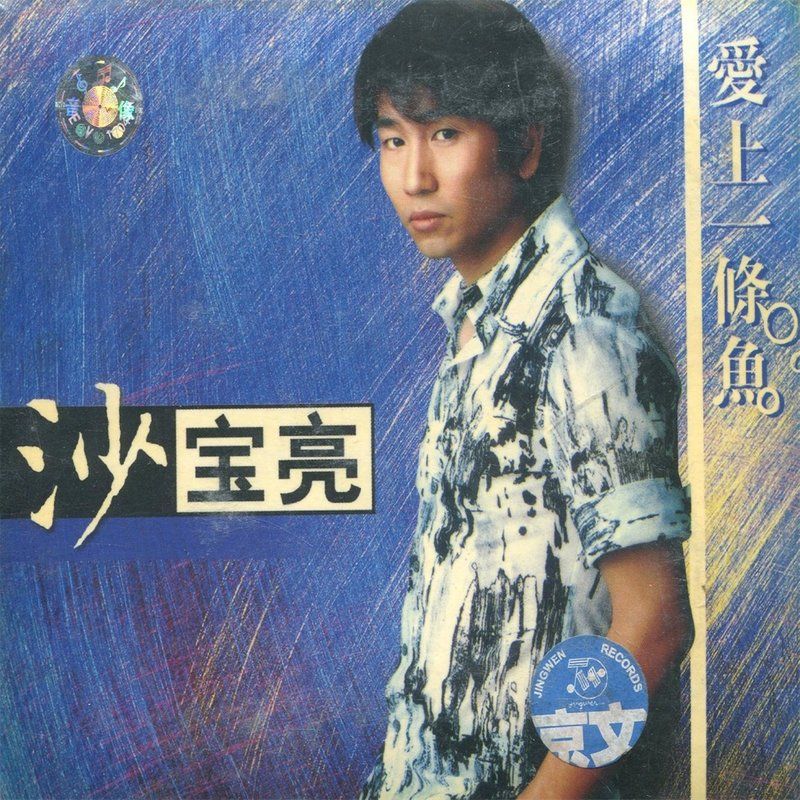 沙宝亮-《爱上一条鱼》