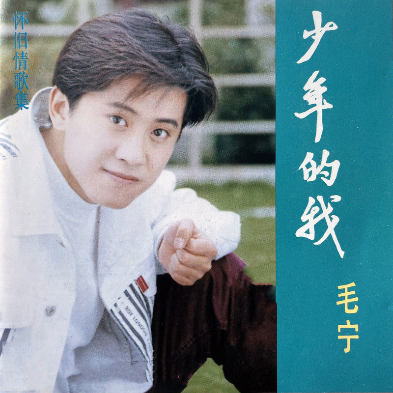 毛宁-《少年的我》