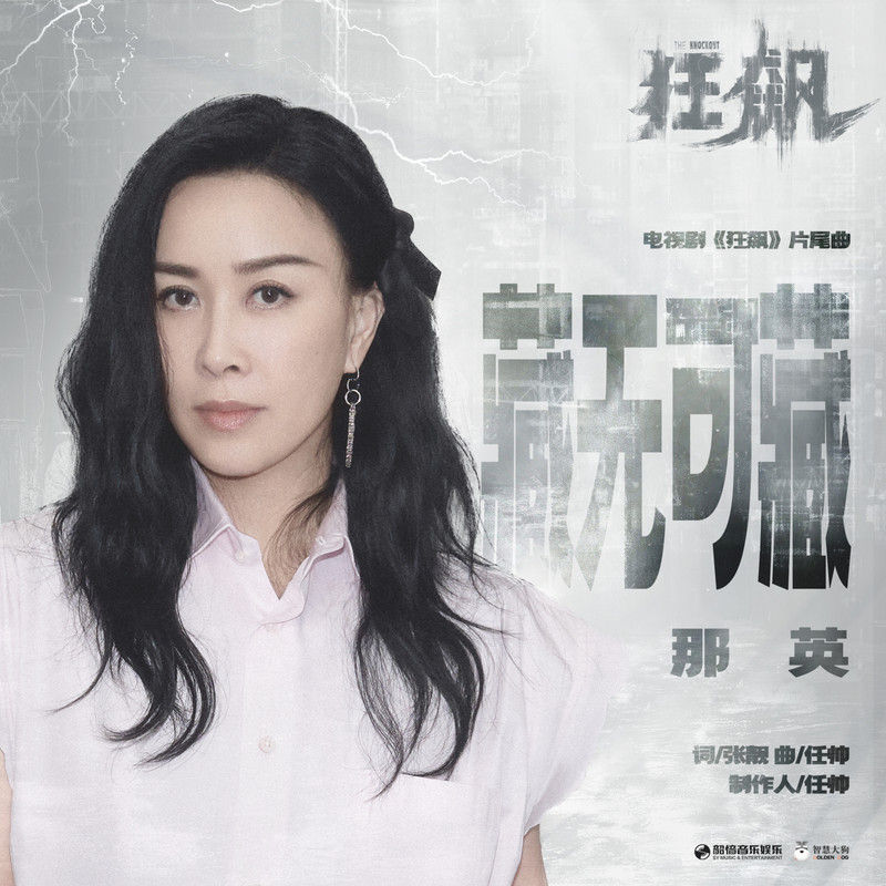 那英-《藏无可藏》