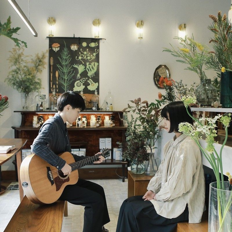 房东的猫-《柔软》