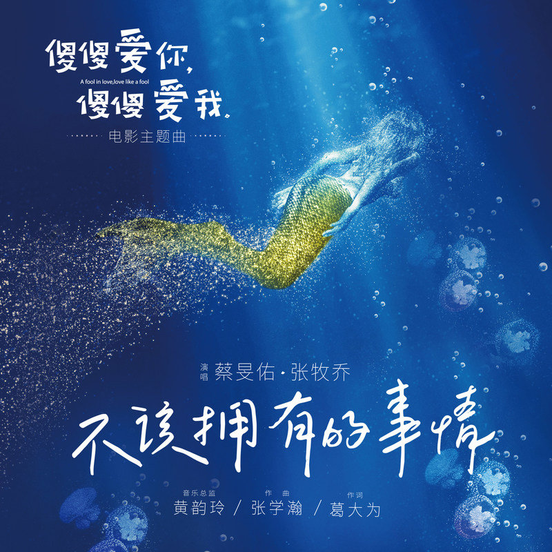 蔡旻佑-《不该拥有的事情-电影「傻傻爱你，傻傻爱我」主题曲》