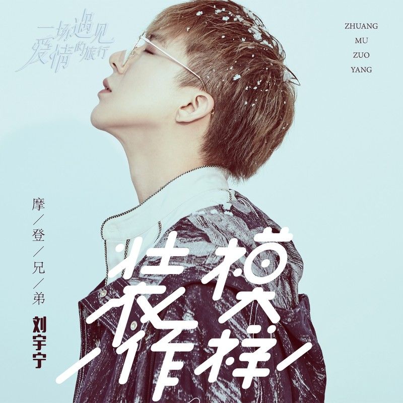 刘宇宁-《装模作样》