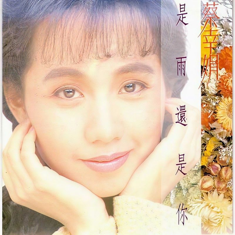 蔡幸娟-《是雨还是你》