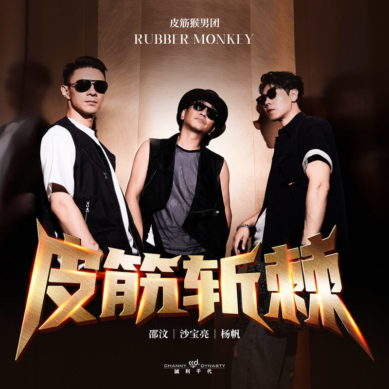 沙宝亮-《皮筋斩棘》