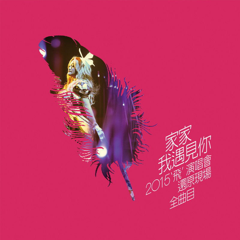 家家-《我遇见你 2015“飞”演唱会还原现场全曲目LIVE》