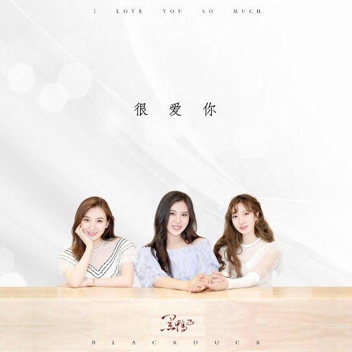 黑鸭子组合 ·《很爱你》