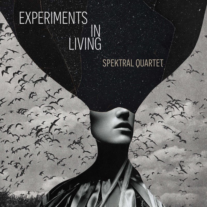 Spektral Quartet – Experiments in Living