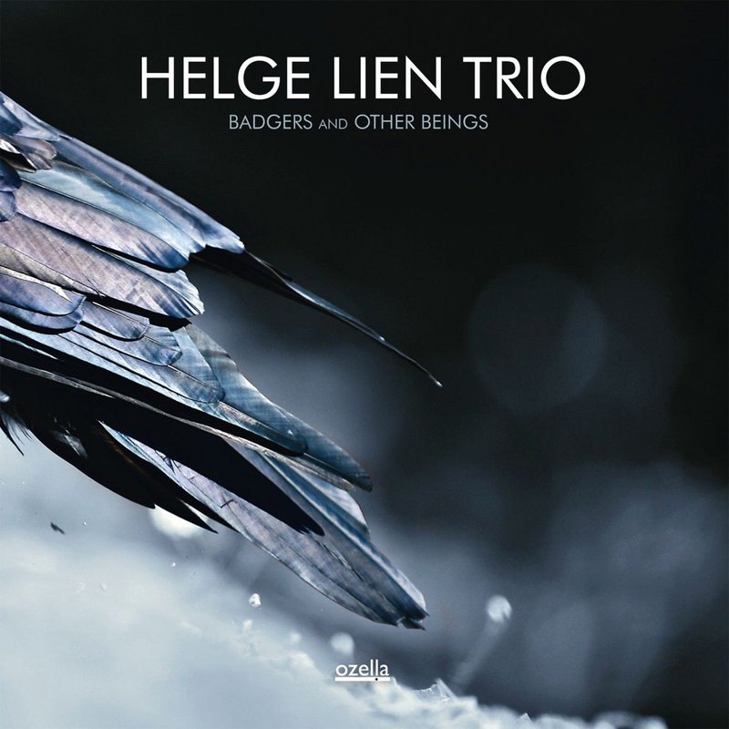Helge Lien Trio – Badgers and Other Beings