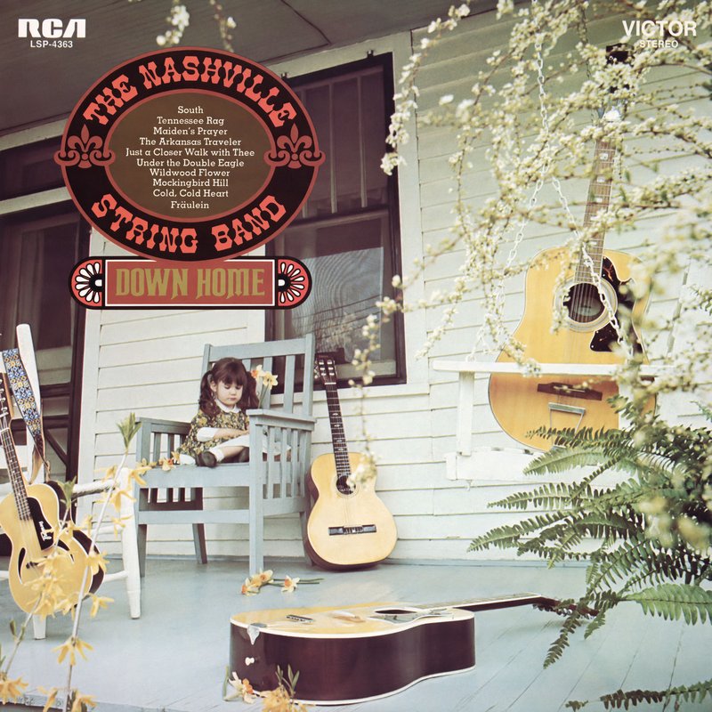 The Nashville String Band – Down Home