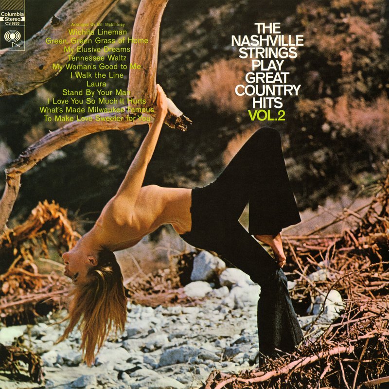 The Nashville Strings – The Nashville Strings Play Great Country Hits, Vol. 2