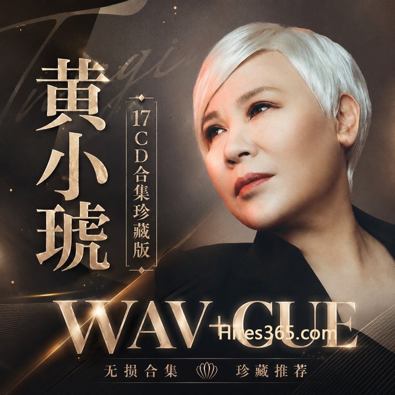 黄小琥 17CD原盘抓轨珍藏合集 [WAV+CUE]